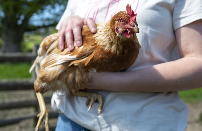 Little Underhill - Foto 33