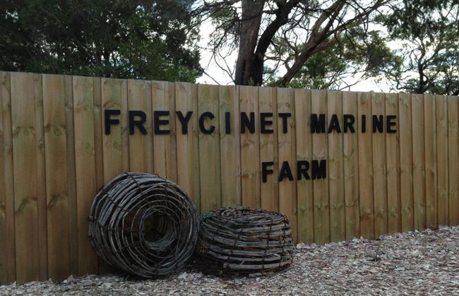 Wineglass Bay e Parco Nazionale di Freycinet - Foto 4