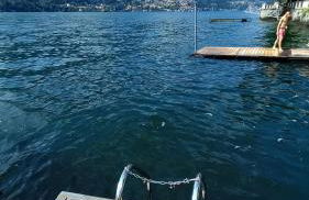 Una magnolia in Cademartori - Foto 16