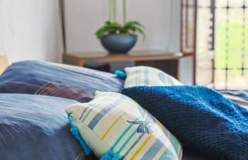 Finca Mamaflo - Foto 17