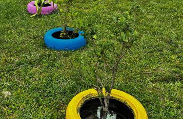 Casa na lagoa do Palmital com acesso à lagoa na propriedade e localizada apenas a 13 km da praia de Atlântida Sul e do Centro de Osório Lugar com Natureza-Wi-Fi 1 cama de casal e um beliche 2 solteiros - Foto 4