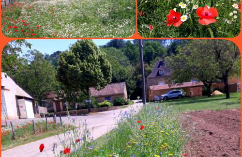 GÎTE DU BOUYSSOU - Foto 28