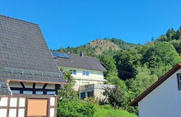 Ferienwohnung Casa Carina - Lautenbach - Foto 23