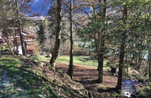 Petite Floria - Foto 2