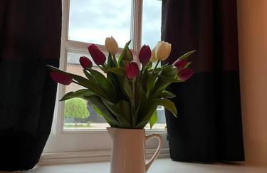 Courtyard Cottage - Photo 12