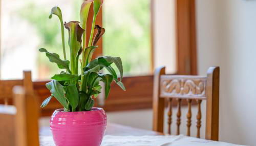 Son Sant Joan - Foto 5