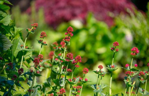 RIKI'S APARTMENT-ZAGREB - Photo 33