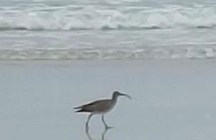 Escapade en Bretagne - Photo 23