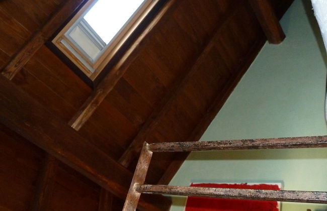 Preta Nera Andersen in Giuliano di Roma - Foto 19