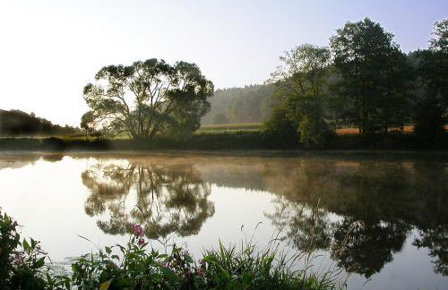 Angeln am Regen - Angelhof Posl - Foto 37