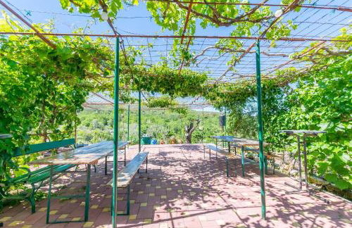 House Green Paradise - Photo 28