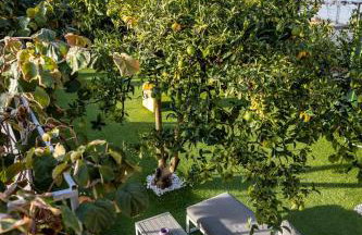 Apartments Sea - Foto 15