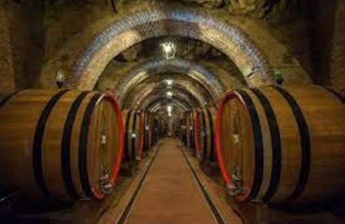 38-Volpini House In Amiata - Val d'Orcia, Saturnia, Feste&Sagre - Foto 67