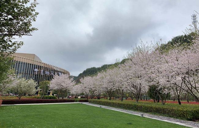 Thousand Islands Lakeview Apartment - Foto 47