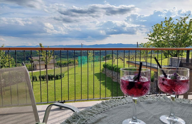 Vineyard cottage Lan na Hribu - Foto 17