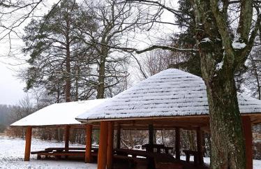 Siedlisko Gruszki Puszcza Białowieska - Foto 64