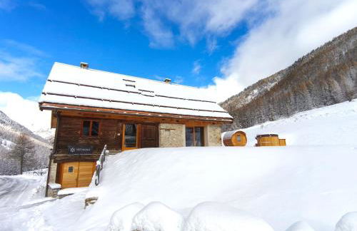 Chalet prestige 14 pers au pied des pistes - Foto 3