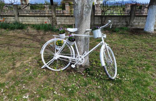 My Flowers - Foto 37