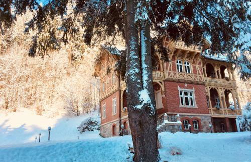 Willa Trebla - Foto 41