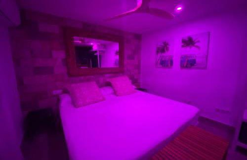 Musa del Paraíso - Foto 31