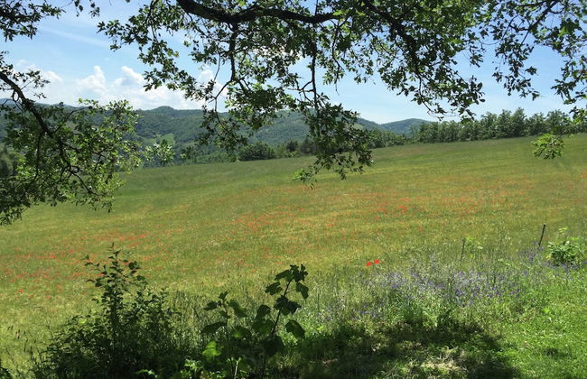 Farmhouse in Apecchio With Pool - Foto 36
