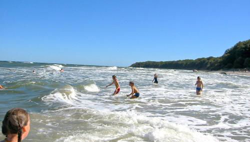wassernahes Ferienhaus mit Meerblick und Schwimmbadnutzung in Sellin - Ferienhaus Rohrweihe - Foto 4