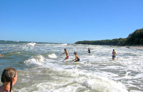 wassernahes Ferienhaus mit Meerblick und Schwimmbadnutzung in Sellin - Ferienhaus Rohrweihe - Foto 4