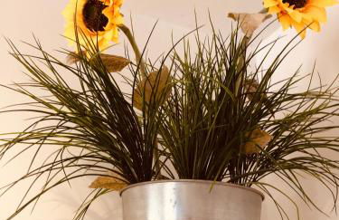 Duplex Archidona Centro - Foto 8