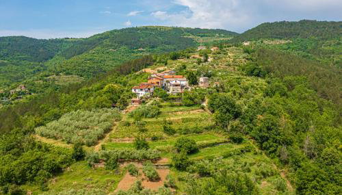 Holiday Home Belveder Motovun with heated pool - Foto 3