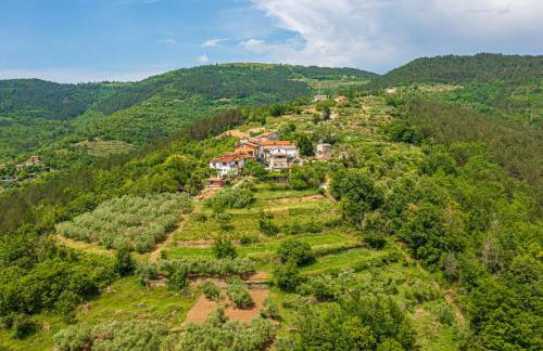 Holiday Home Belveder Motovun with heated pool - Foto 3