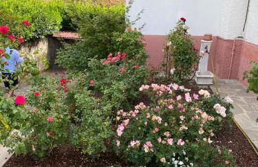 Villa Clarabella - Foto 10