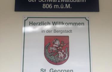 Schwarzwaldblick - Foto 21