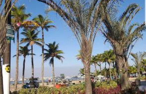 Casa Veraneio família Matos - Photo 23