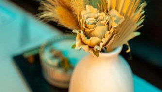 Deluxe Stargazer Dome Retreat in Stunning Nature - Foto 3