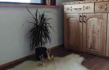 TATRA HOMES domek z jacuzzi - Foto 29