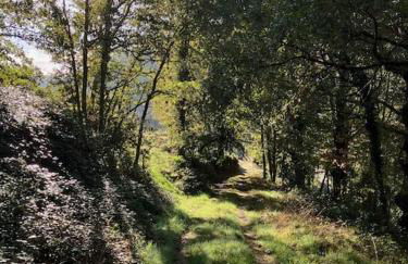 A Casa da Fonte - Foto 22