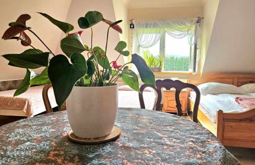 SielskoAnielsko k. Karpacza - Foto 28