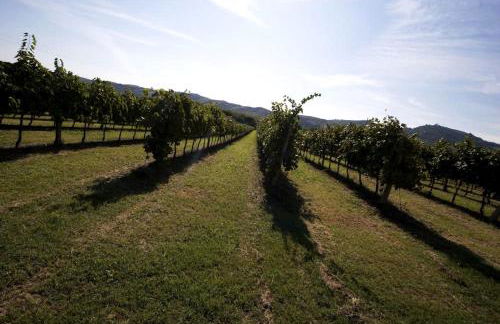 Villa Il Cigno - Photo 17