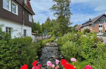 Tami's Harzglück - Foto 20