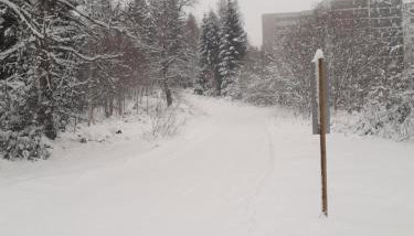 Fewo Schwarzwald Von Oben - Kniebis - Foto 3