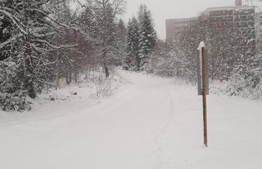 Fewo Schwarzwald Von Oben - Kniebis - Foto 3