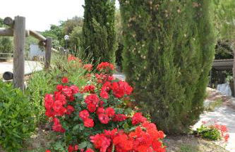 Agriturismo La Ghiraia - Foto 23