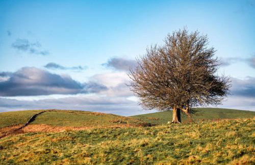 Craignair - Photo 28