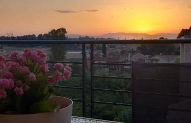 Fox's Sunshine - Foto 1