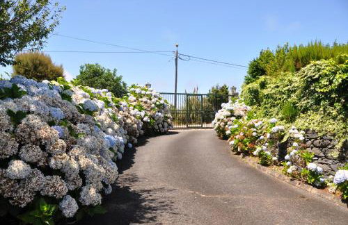 Luxury VILLA CAMÉLIA. Mountains, golf, horses, levada walks. - Foto 32