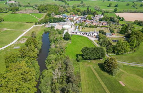 The Blacktail - Foto 24