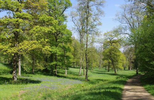 Ivy Cottage - Foto 11