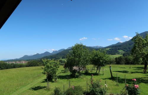 Beim Grafen - Foto 3