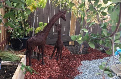 Giraffe House - Foto 24