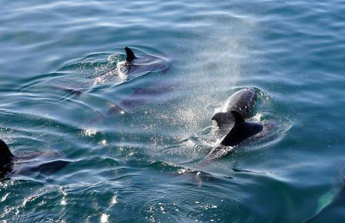 Holiday Home near Pointe du Raz & Sea - Foto 37